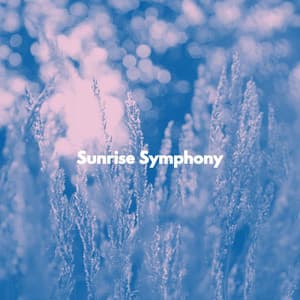 Sunrise Symphony - Breakfast Lounge Music