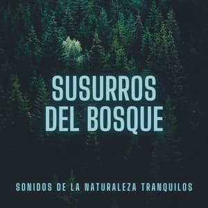Susurros del Bosque: Sonidos de la Naturaleza Tranquilos - Colectivo de sonidos de la naturaleza y la selva tropical