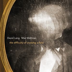 David Lang: The Difficulty of Crossing a Field - David Lang