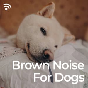 Dog Brown Noise Relaxer for Firework - The Dog Relaxer