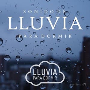 Sonido de Lluvia Para Dormir - Lluvia Del Bosque
