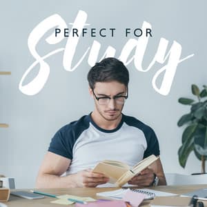 Perfect For Study - The Calm Richard