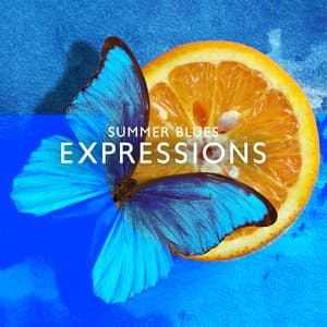 Summer Blues Expressions: Summer Blues Melodies for Picnic, Enjoy the Summer Time with Instrumental Music, Relaxation for the Sunny Days - Moon BB Band
