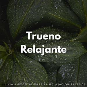 Trueno Relajante: Lluvia Ambiental Para La Relajación Pacífica - Tormenta de truenos