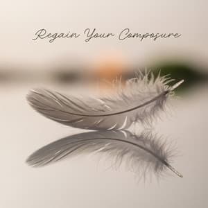 Regain Your Composure - Melatonin Monk