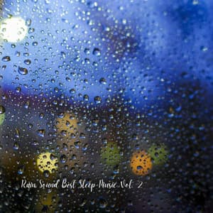 Rain Sound Best Sleep Music Vol. 2 - Sleepy Dogs