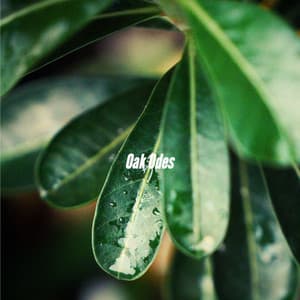 Oak Odes - The Happy Jazz Lounge