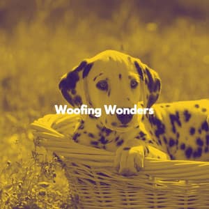 Woofing Wonders - Dog Calming Music