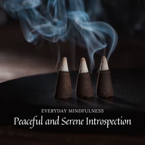 Everyday Mindfulness: Peaceful and Serene Introspection - Spiritual Development Academy
