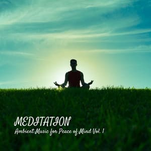 MEDITATION: Ambient Music for Peace of Mind Vol. 1 - 1 Hour Meditation