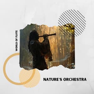 Nature's Orchestra: Rain and Flute in 432 Hz Harmony - World of Flute