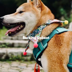 Barking Upbeat - Musica para Perros
