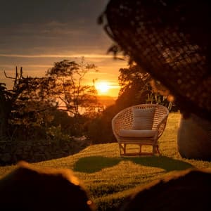 Calming Melodies for Peaceful Moments - Relax Music Zone