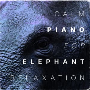 Calm Piano for Elephant Stillness - Inez Simonne
