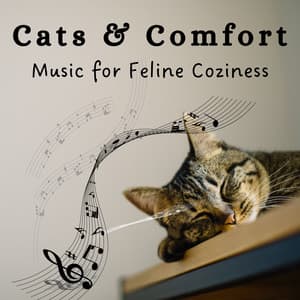 Cats & Comfort: Music for Feline Coziness - Calming Music for Cats