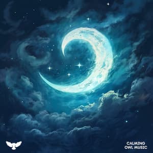 Lullabies In Moonlight - Baby Owl Music