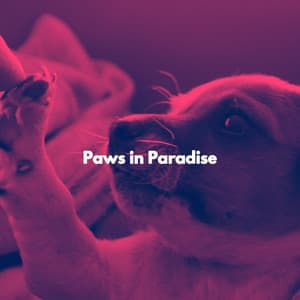 Paws in Paradise - Jazz and Chill