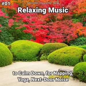#01 Relaxing Music to Calm Down, for Napping, Yoga, Next-Door Noise - New Age