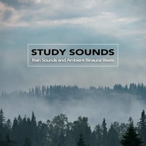 Study Sounds: Rain Sounds and Ambient Binaural Beats, Study Alpha Waves, Isochronic Tones and Music For Brainwave Entrainment and Deep Focus and Concentration - Study Music
