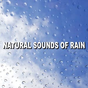 Natural Sounds of Rain - Wind and Rain Sounds