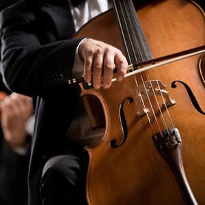 Nighttime Serenade: Orchestra for Dogs - Charles Anderson