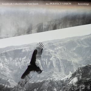 The Perfect Vision Reworkings - Soundwalk Collective