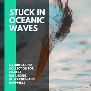Stuck in Oceanic Waves - Nature Sound Collection for Chakra Balancing, Relaxation and Happiness - Incredible Oceans