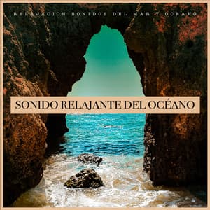 Sonido relajante del océano - Relajacion Sonidos Del Mar y Oceano