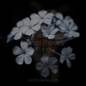 50 Absolute Rest & Sleep Therapy Sounds - Relajacion Del Mar