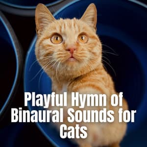 Playful Hymn of Binaural Sounds for Cats - Lovemotives