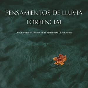 Pensamientos De Lluvia Torrencial: Un Ambiente De Estudio En El Pantano De La Naturaleza - Música de día lluvioso
