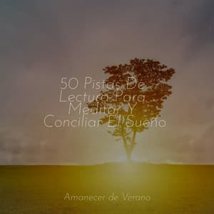 50 Pistas De Lectura Para Meditar Y Conciliar El Sueño - Masajes Spas