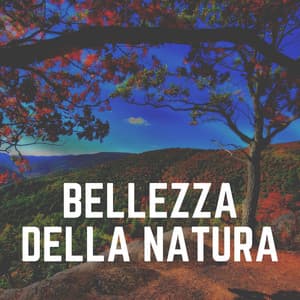 Bellezza Della Natura - Zona pura di suoni naturali