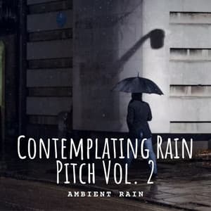 Ambient Rain: Contemplating Rain Pitch Vol. 2 - Calm Music Guru