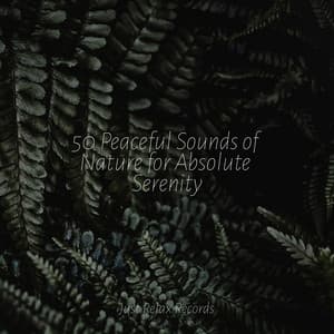 50 Peaceful Sounds of Nature for Absolute Serenity - Música a Relajarse