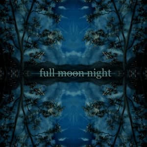Full Moon Night - Generix