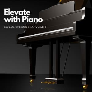 Elevate with Piano: Reflective Dog Tranquility - Sad Fiona