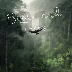 Birds and Trees - 101 Nature Sounds