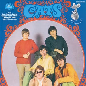 Cats - The Cats
