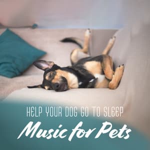 Help Your Dog Go to Sleep: Music for Pets - Separation Anxiety, Special Therapy, Long Deep Dream, Sense of Security, Calm Time - Animal Melody Wizard