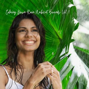 Calming Down Rain Ambient Sounds Vol. 1 - Calm Pets Music Academy