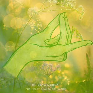 Hridaya Mudra for Heart Chakra Activation - The Inner Chakra