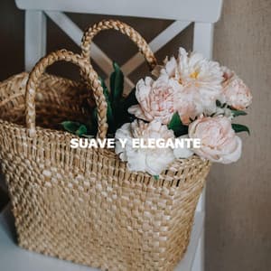 SUAVE Y ELEGANTE - Lounge Music Cafe