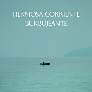 Hermosa Corriente Burbujeante - Corriente Meteorica