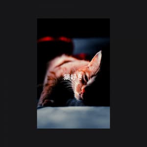 猫好き - Jazz Music Lounge