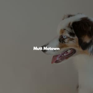 Mutt Motown - Relaxing Coffee Shop