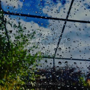 50 Powerful Sounds of Rain and Rain and Nature - PowerThoughts Meditation Club