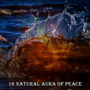 16 Natural Aura Of Peace - Sound Library XL