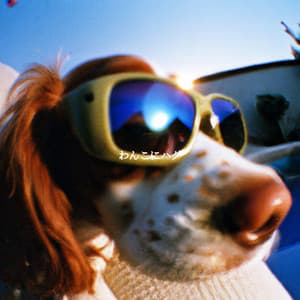 わんこにハグ - Relaxing Jazz