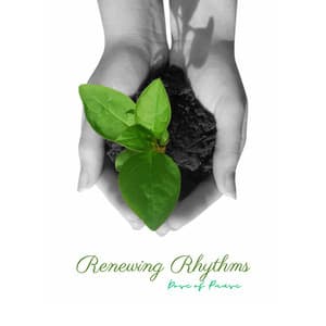 Renewing Rhythms: 528 Hz Flute for Positive Energy - Dose of Pause